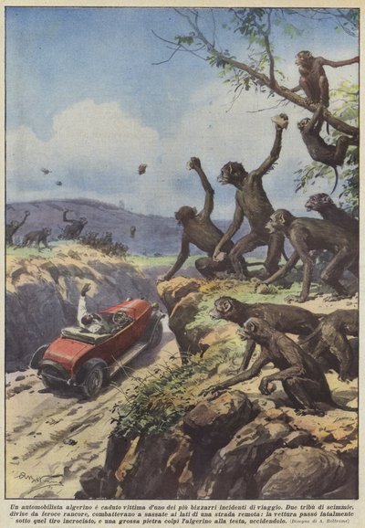An Algerian Motorist Fell Victim to One of the Most Bizarre Travel Accidents by Achille Beltrame
